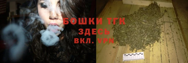 мет Алексин