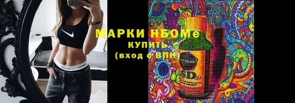 стаф Абаза