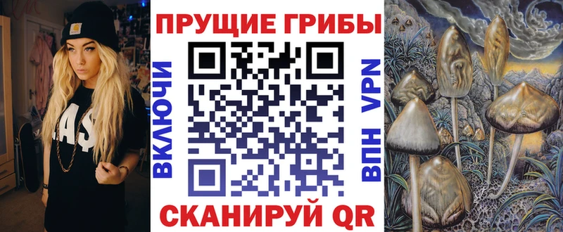 Псилоцибиновые грибы Psilocybe  даркнет телеграм  Избербаш 