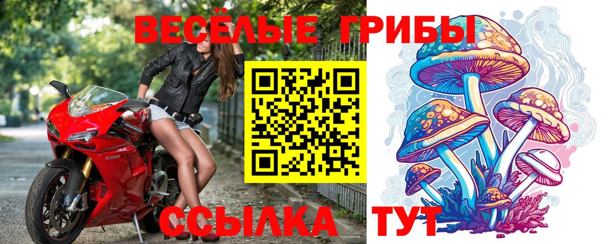 Псилоцибиновые грибы GOLDEN TEACHER Избербаш